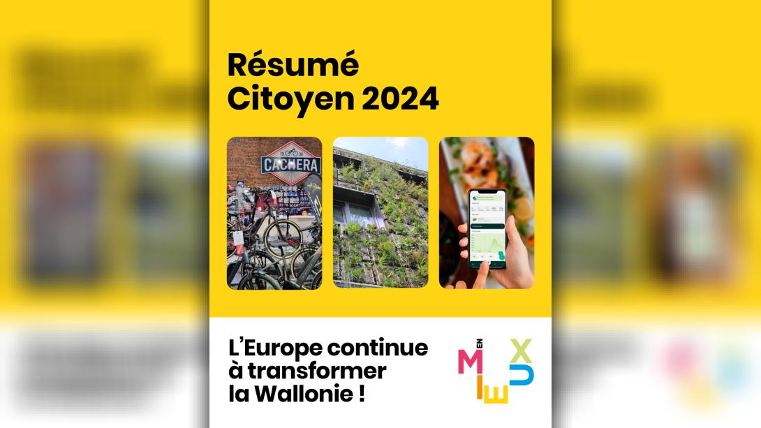 Résumé Citoyen 2024